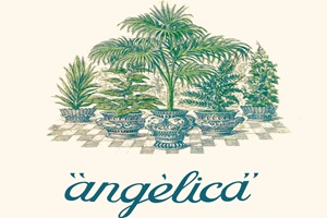 Café Angélica