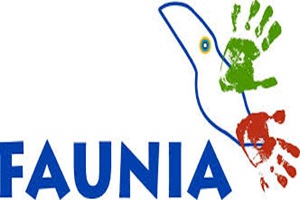 Actividades para niños - Faunia