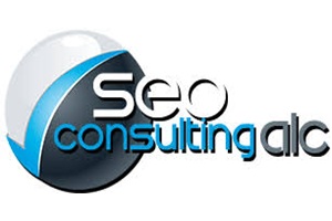 Logo SEO Consulting