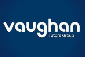 Logo Grupo Vaughan Madrid