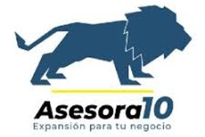 Logo Asesora10 Madrid